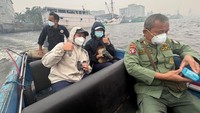 Geger Jasad Orang Utan Mengapung di Sungai Kumai