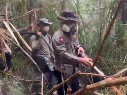 Upaya Brimob Kalteng Padamkan Karhutla Tanjung Puting di Tengah Medan Sulit