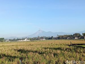 Gunung Semeru Kembali Erupsi Luncurkan Guguran Lava Sejauh 1,5 Km