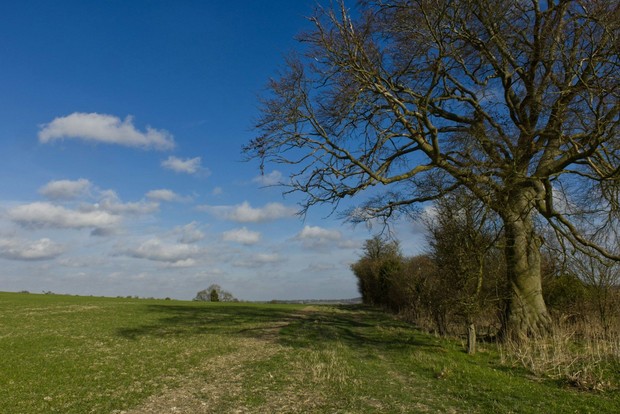 Ivinghoe Beacon merupakan lokasi Bridgerton yang menawarkan pemandangan alam terbuka, berbeda dari istana dan rumah bangsawan dalam serial. Kawasan di Buckinghamshire ini digunakan untuk adegan berkuda dan lanskap pedesaan pada musim kedua.