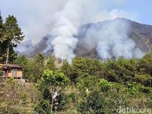 Pemadamanan Karhutla Arjuno-Welirang Pakai Sekat Bakar