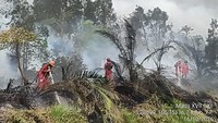Sebulan Lebih Karhutla di Banyuasin-OKI, Luas Lahan Terbakar Ratusan Hektare