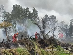 Ketika Selebritas Merasa Malu Ada di Negara Tetangga karena Kabut Asap Karhutla