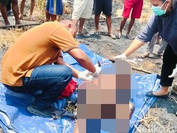 Kebakaran Lahan di Kupang, Petani Ditemukan Tewas Terbakar