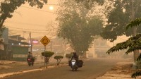 Asap Kuning Bertahan di Pangkalan Bun Walau Hujan Deras Sempat Mengguyur