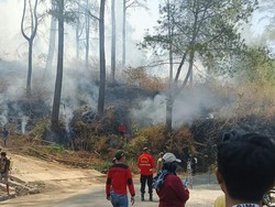Karhutla di Hutan Pinus Malino Gowa Hanguskan 2 Hektare Lahan