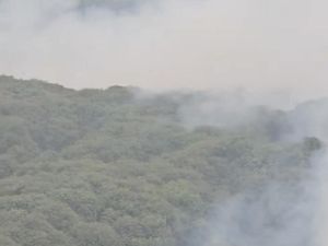 Karhutla di TN Berbak Tanjabtim Sulit Dipadamkan, Medan Tempuh Jadi Kendala