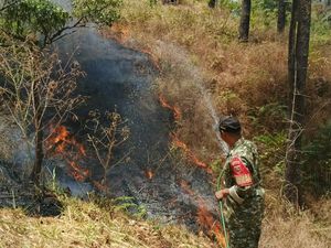 Kebakaran di Hutan Pinus Malino Gowa, Ada 2 Titik Api