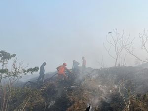 Kebakaran TPA Parepare Belum Padam gegara Tumpukan Sampah Kering