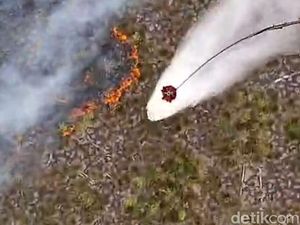 Water Bombing Terus Digenjot di Tanjung Puting