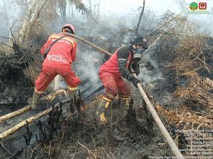 Karhutla di Sumsel Masih Ratusan Hektare, Pemadaman Masih Dilakukan