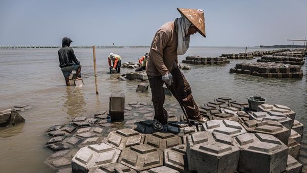 Persiapan Giant Sea Wall Pantura, Struktur Pemecah Ombak Disiapkan di Demak