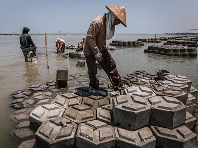 Persiapan Giant Sea Wall Pantura, Struktur Pemecah Ombak Disiapkan di Demak