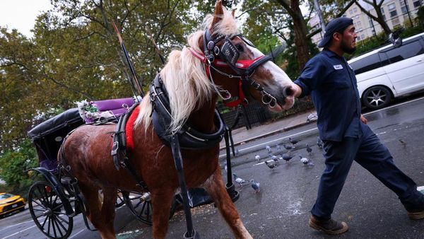 Setelah 150 Tahun, Kereta Kuda Ikonik di Central Park Terancam Pensiun
