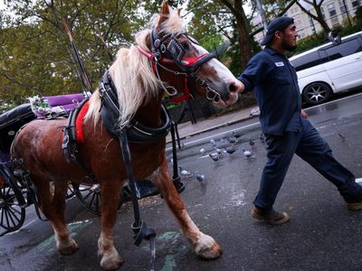 Setelah 150 Tahun, Kereta Kuda Ikonik di Central Park Terancam Pensiun
