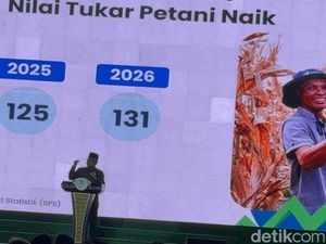Zulhas Sebut RI Tak Impor Beras pada 2025, Surplus 4,2 Juta Ton