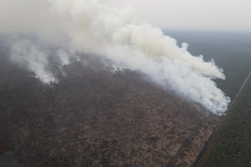 Karhutla dan Ancaman Kabut Asap Lintas Negara, Sejauh Mana Penanganannya? - Infolitik