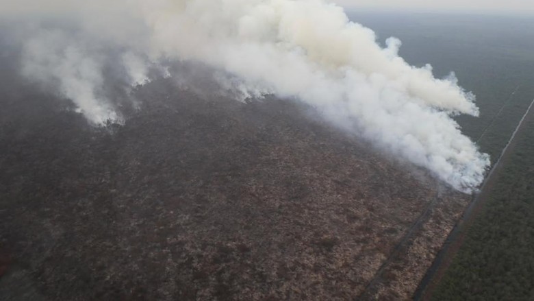 433 Titik Panas Terdeteksi di Lampung, BMKG Singgung Ulah Manusia