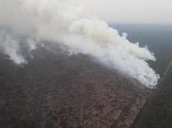 BNPB Identifikasi 44 Area Konversi Hutan-Perkebunan Terbakar di Sumsel
