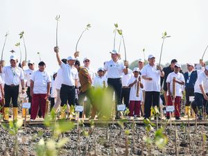 Atasi Abrasi, AHY-Luthfi Tanam Mangrove di Demak dengan Inovasi HexBricks