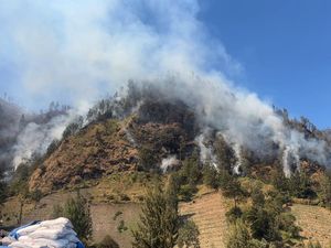 Bukit Seruni Point Bromo Terbakar Lagi, Warga-Wisatawan Diminta Waspada