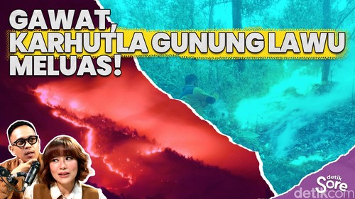Video: Benarkah Human Error Jadi Penyebab Karhutla Gunung Lawu? 