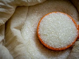 Bukan Cuma Tebu, Gula Pasir Ternyata Juga Berasal dari Tanaman Ini