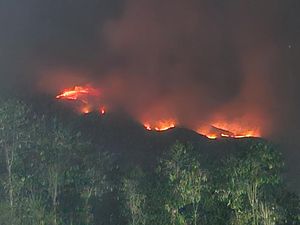 Kebakaran Gunung Sumbing, Jalur Pendakian via Magelang Ditutup