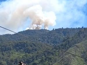 Gunung Latimojong Enrekang Ditutup Selama Kemarau Imbas Karhutla
