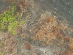 Video: Melihat Karhutla dan Kabut Asap di Fakfak Papua Barat