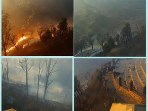Kondisi Terkini Karhutla Jatim, Api Masih Terpantau di Bromo-Arjuno