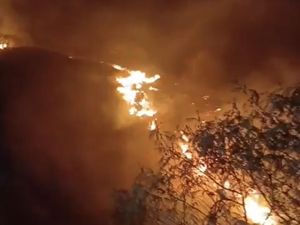 Kawasan Gunung Sumbing Wonosobo Kebakaran, 71 Pendaki Dievakuasi