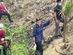 Polisi Temukan Lahan Bekas Karhutla di Dharmasraya Sumbar Ditanami Sawit