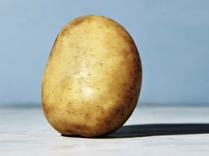 Mau Coba? Rasa Alami Kentang Ini Disebut Mirip Ayam Panggang