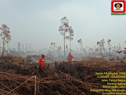 Ratusan Hektare Lahan di Tujuh Daerah Sumsel Masih Terbakar