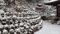 Unik, Kuil Otagi Nenbutsuji Kyoto Punya 1.200 Patung Wajah