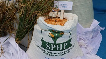 BULOG Kebut Penyaluran 150.000 Ton SPHP Jagung Tahap 2 bagi Peternak Mikro