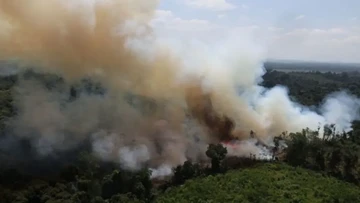 32 Perusahaan Biang Kerok Karhutla Dibekukan