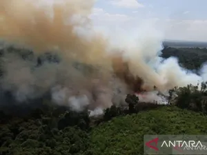 Video: Deretan Artis-Influencer Bergerak untuk Karhutla, Sherina hingga Luna Maya