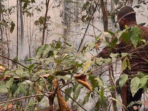 Hujan 15 Menit di Tanjung Puting, Sejumlah Titik Api Karhutla Masih Menyala