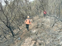 Pemprov Jateng Intensifkan Pemadaman Karhutla Gunung Lawu dan Sumbing