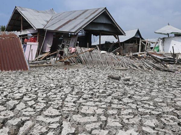 Dua Bulan Pascagempa Flores, 118 Ribu Rumah Rusak