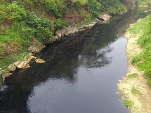 Warga Harap Masalah Sungai Cileungsi Menghitam di Bogor Cepat Tuntas