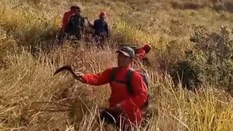 Kebakaran Gunung Arjuno Meluas hingga Wilayah Malang dan Kota Batu