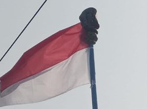 Ular Piton Nangkring di Tiang Bendera SDN 4 Lise Sidrap