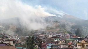 Luas Kebakaran Hutan Gunung Sumbing di Magelang Capai 30 Hektare