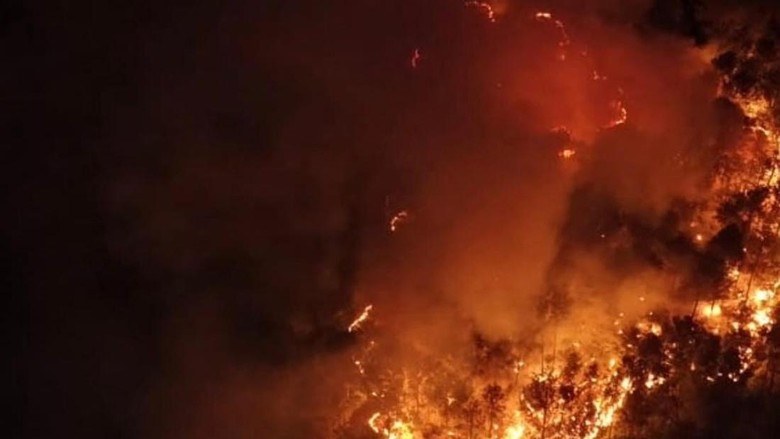 Kebakaran di Gunung Ciremai, 1,5 Hektare Lahan Bambu Hangus