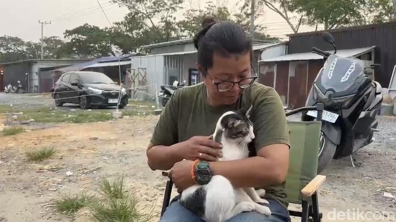 Tak Hanya Manusia, Kucing Jalanan Juga Sesak karena Asap Karhutla