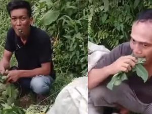 Viral 2 Pencuri di Deli Serdang Dipaksa Warga Makan Daun Pepaya Mentah