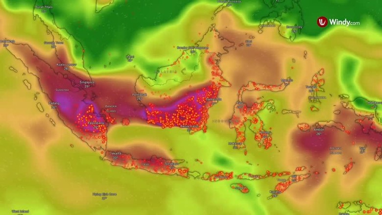 Meta Diminta Buka-bukaan Soal Dugaan Penghapusan Konten Karhutla
